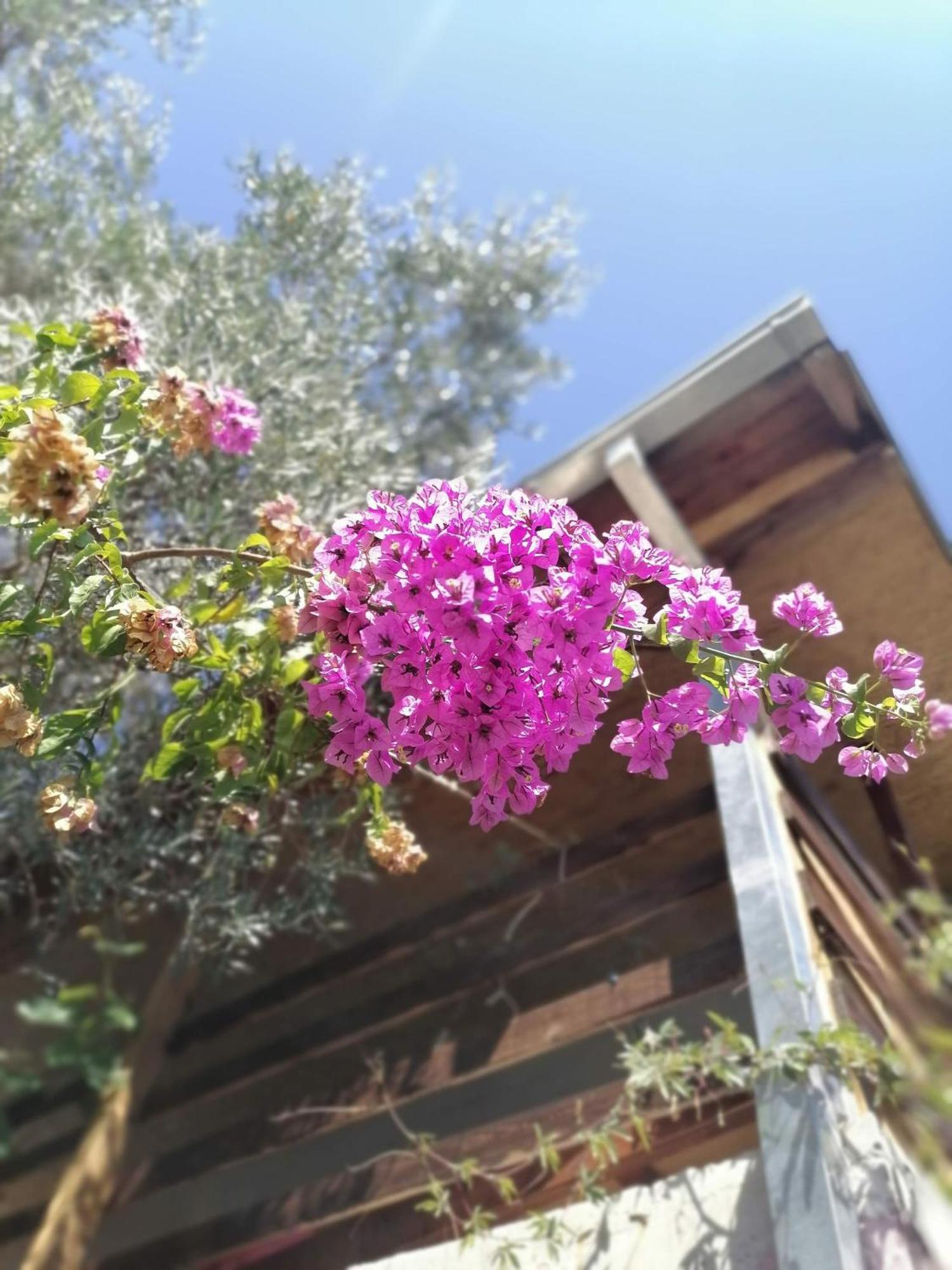 Apartmani Lala 2 ชานจ์ ภายนอก รูปภาพ